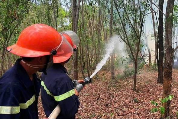Kiểm tra đột xuất về an toàn phòng cháy, chữa cháy rừng